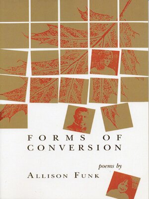 cover image of Forms of Conversion
